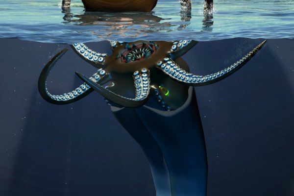 Как обойти kraken